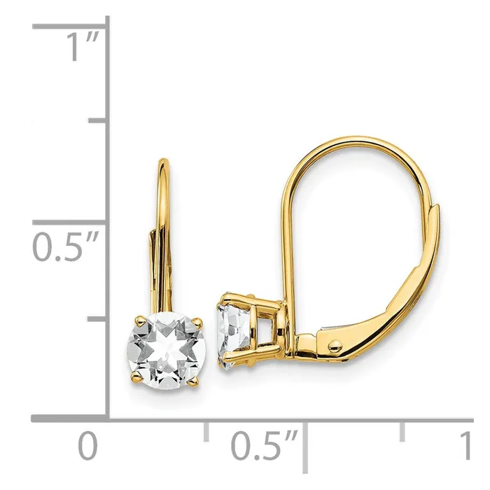 Goldia Earrings 14k Yellow Gold 5mm Cubic Zirconia Leverback Earrings