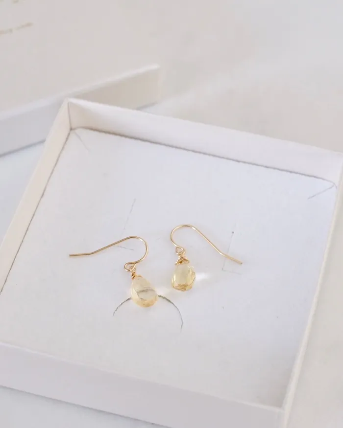 Earrings ERIJEWELRY Citrine Simple Earrings