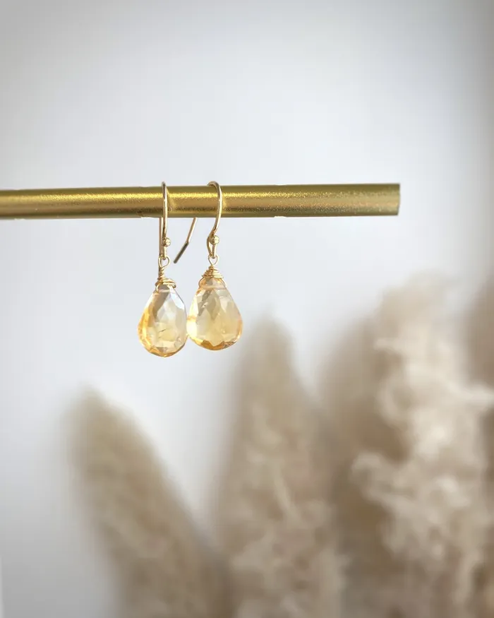 Earrings ERIJEWELRY Citrine Simple Earrings Earrings ERIJEWELRY Citrine Simple Earrings