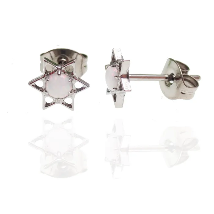 Star and Opal Titanium Earrings Body Clickers Earrings