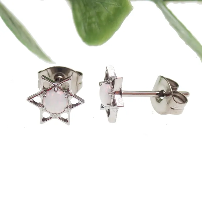 Star and Opal Titanium Earrings Body Clickers Earrings