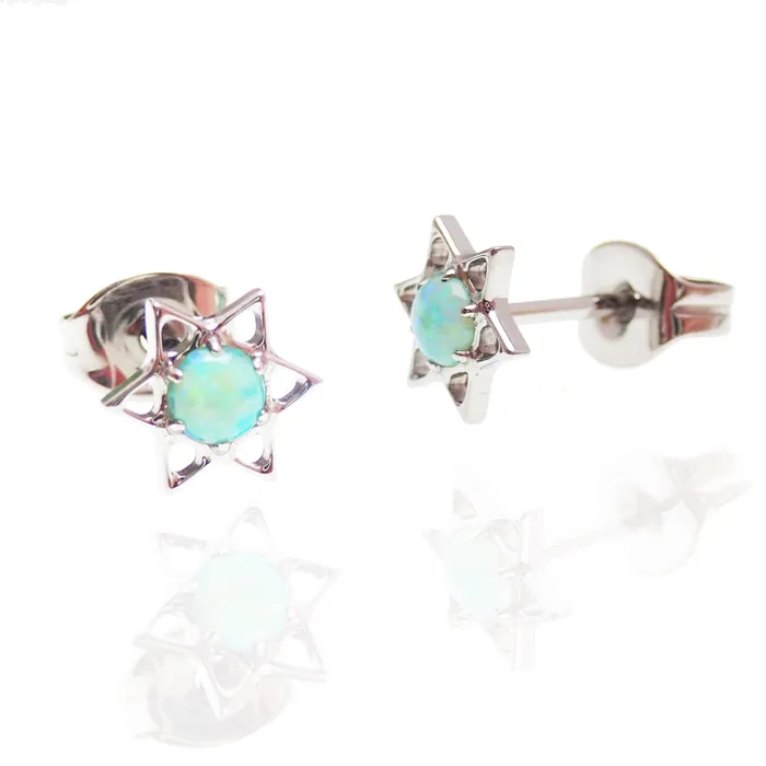 Star and Opal Titanium Earrings Body Clickers Earrings