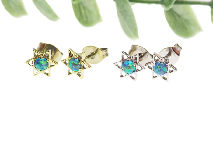 Star and Opal Titanium Earrings Body Clickers Earrings