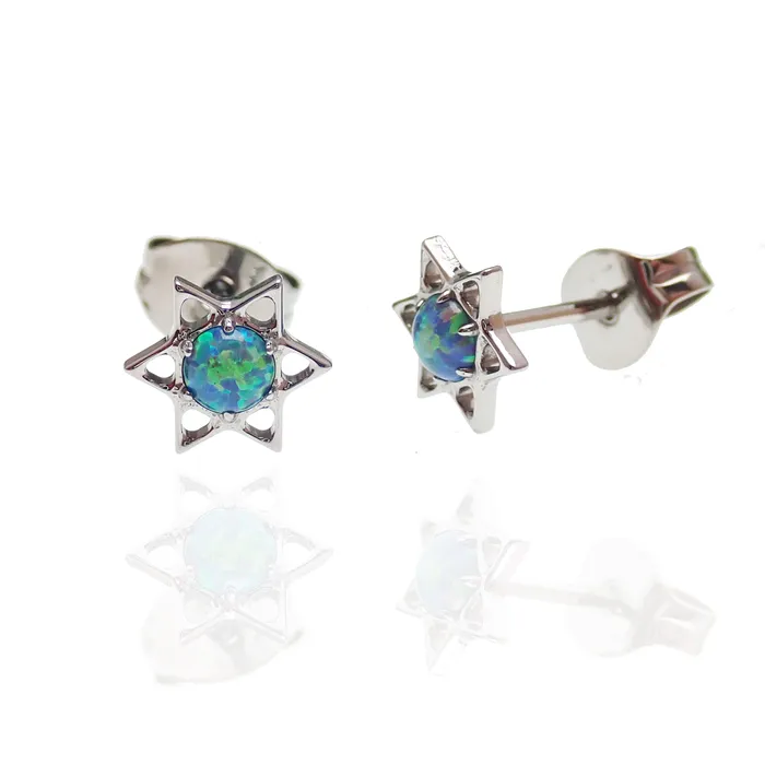 Star and Opal Titanium Earrings Body Clickers Earrings