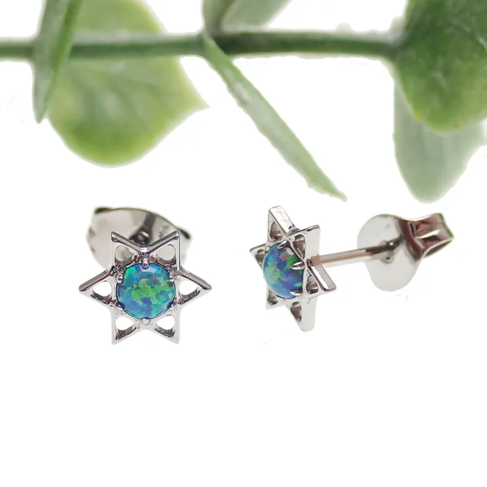 Star and Opal Titanium Earrings Body Clickers Earrings