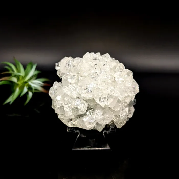 Charm Necklaces Diamond Apophyllite 31 Cluster LV7072 Bliss Crystals