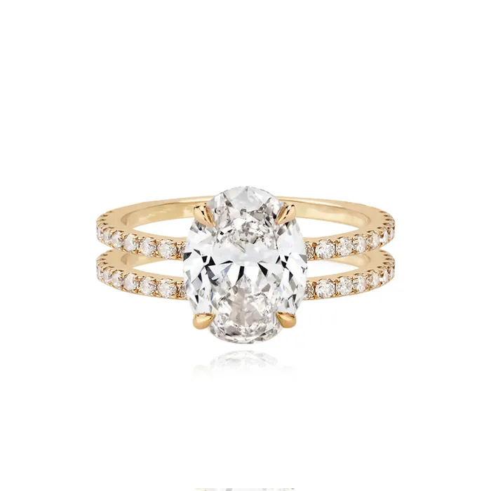 Alev Jewelry Rings Double Pave Band Engagement Ring