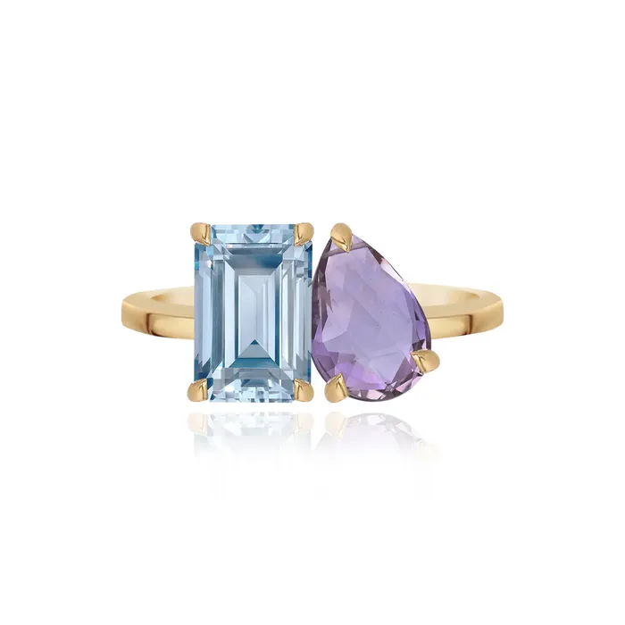 Alev Jewelry Rings Medium TwoGemstones Ring