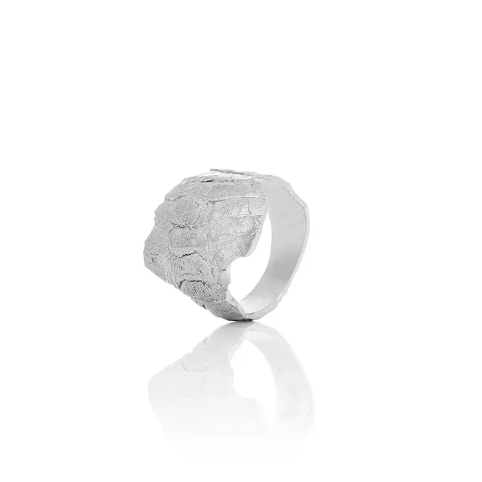 AURUM by Gubjrg Mens ring Rings