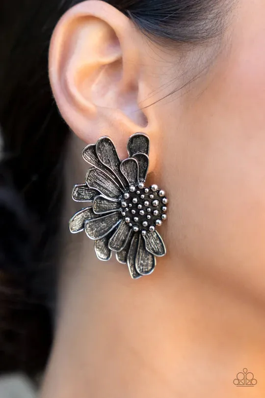 Paparazzi Accessories Farmstead Meadow Silver Post Earrings Jewelry by Bretta Earrings Paparazzi Accessories Farmstead Meadow Silver Post Earrings Jewelry by Bretta Earrings